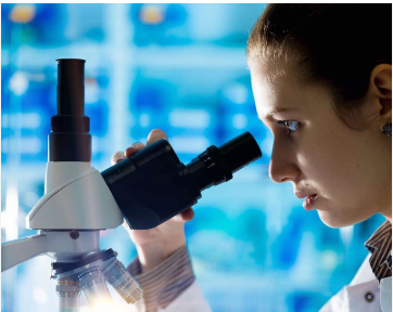 Hair mineral analysis test Hair mineral analysis test